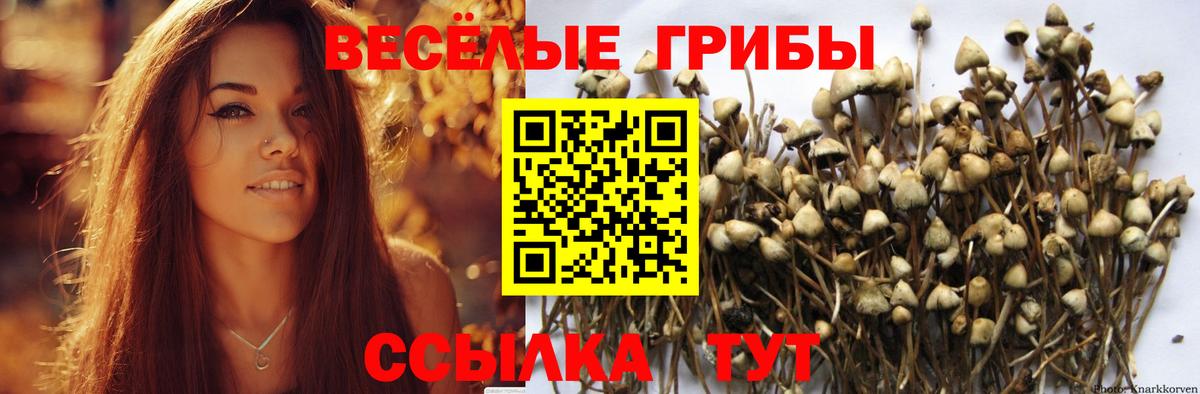 Белореченск  Галлюциногенные грибы GOLDEN TEACHER  Галлюциногенные грибы Psilocybine cubensis  Вход с VPN 